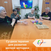 Су-джок терапия для развития мелкой моторики