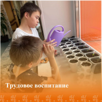 Трудовое воспитание "Дорога в будущее". Посадка цветочных семян. Трудовое воспитание "Дорога в будущее". Посадка цветочных семян.
