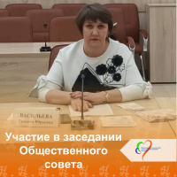 Участие в заседании Общественного совета