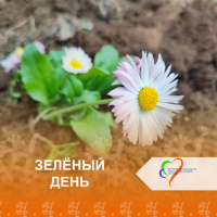 «Зелёный день» в нашем учреждении 