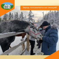Заряд положительных эмоций!