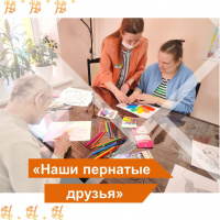 Наши пернатые друзья