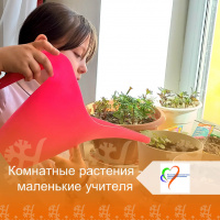 Комнатные растения — маленькие учителя дисциплины и любви к природе!