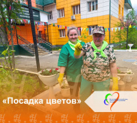 Посадка цветов