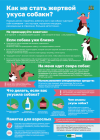 Риск травмирования в результате укуса собак