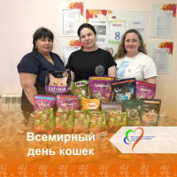 Всемирный день кошек