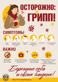 Симптомы и профилактика гриппа Симптомы и профилактика гриппа