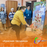 "Красная гвоздика" - помогаем ветеранам вместе!
