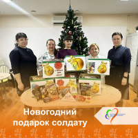 Новогодний подарок солдату 
