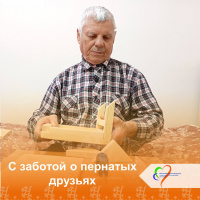 С заботой о пернатых друзьях