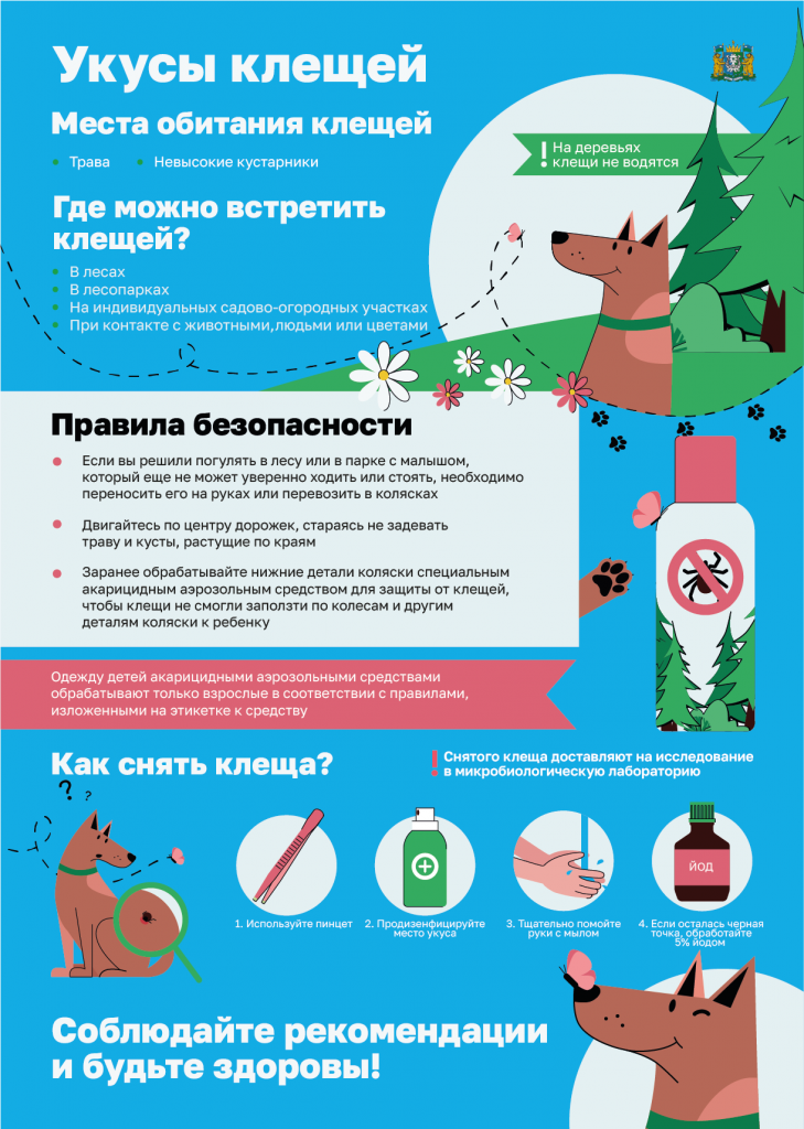 Укусы клещей.png